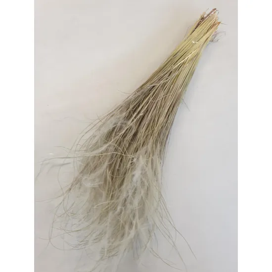 STYPHA PENATA LARGE NATUREL +/-50GR BOPP/kraft