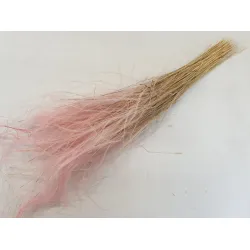 STYPHA PENATA LARGE ROZE +/-50GR BOPP/kraft hobbyverpakking