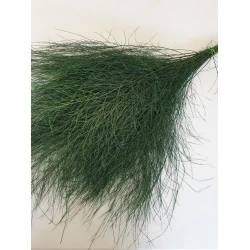 TIKI GECONSERVEERD GROEN 25ST BOPP/kraft hobbyverpakking