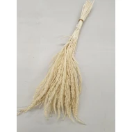 WILD GRASS GEBLEEKT +/-75GR BOPP/kraft hobbyverpakking