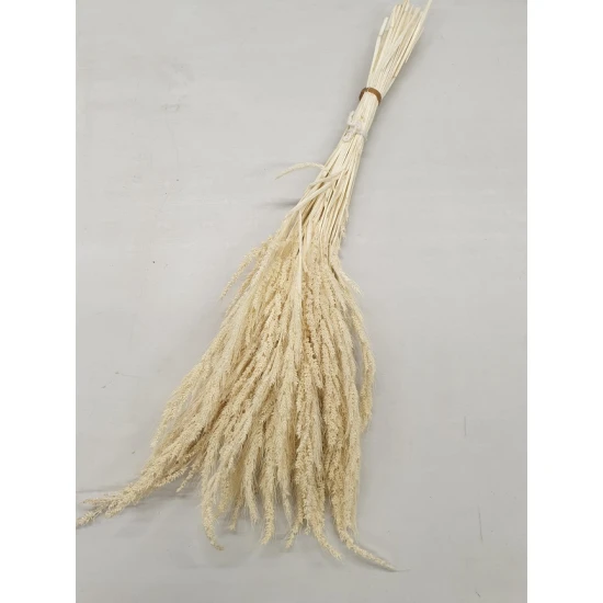 WILD GRASS GEBLEEKT +/-75GR BOPP/kraft