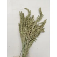 WILD GRASS NATUREL +/-75GR BOPP/kraft hobbyverpakking