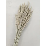 WILD GRASS WHITE WASH +/-75GR BOPP/kraft hobbyverpakking