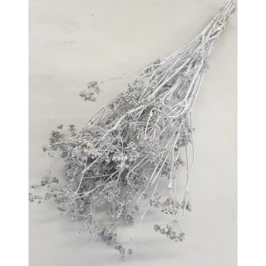 CARUM CARVI BLANC BOPP/kraft