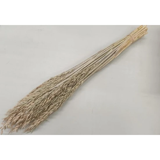 AVOINE FROSTED WHITE BOPP/kraft