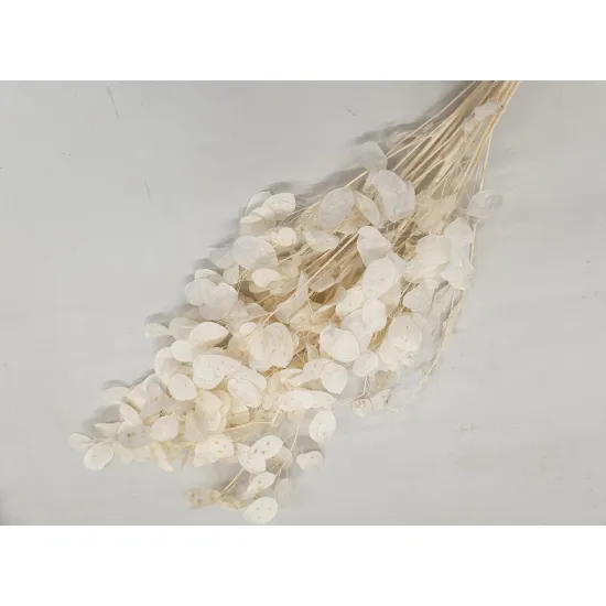 HONESTY BLEACHED BOPP/kraft