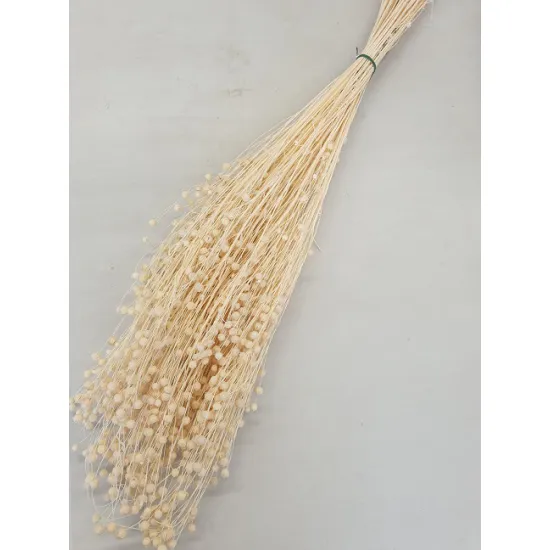 LINUM (FLAX) BLEACHED +/-100GR BOPP/kraft