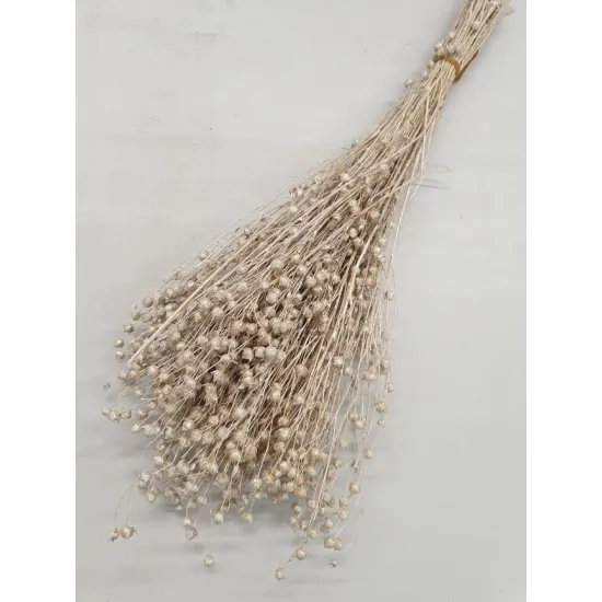 LIN PEARL WHITE +/-100GR BOPP/kraft