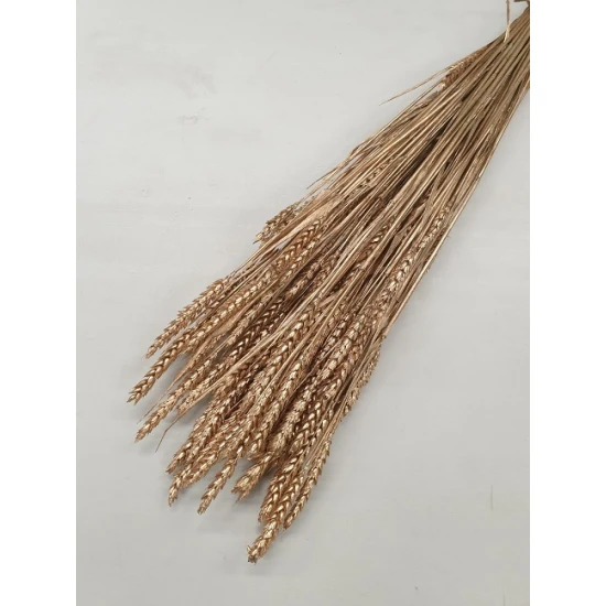 BLE (TRITICUM) OR ANTIQUE BOPP/kraft