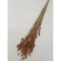 THATCH REED NATUREL +/-75GR BOPP/kraft hobbyverpakking