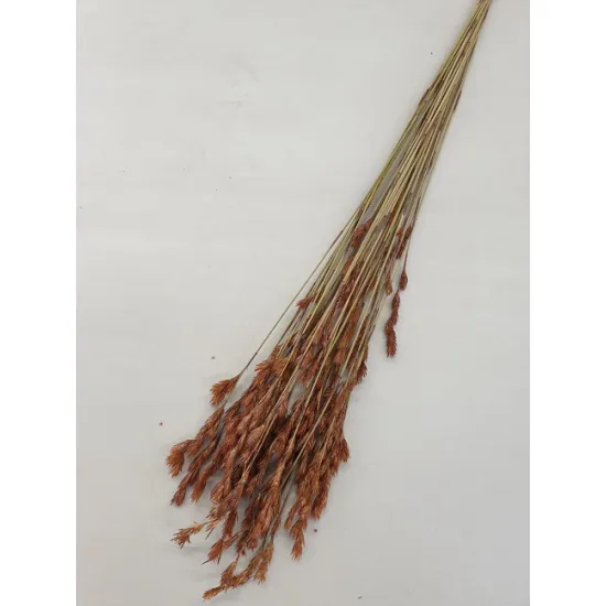 THATCH REED NATUREL +/-75GR BOPP/kraft