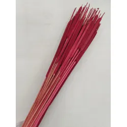 TYPHA LARGE RED +/- 50PCS BOPP/kraft Small packaging