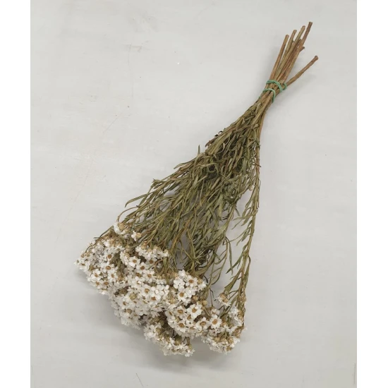 IXODIA NATURAL BOPP/kraft