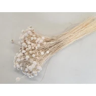 BOTAO BRANCO GEBLEEKT +/-100GR BOPP/kraft hobbyverpakking