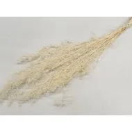 BRIZONNE BLANCHI BOPP/kraft emballage hobby