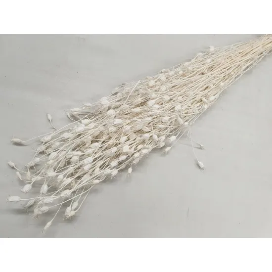 CENTAUREA BLEACHED +/-200GR BOPP/kraft