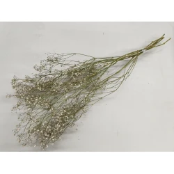 GYPSOPHILA NATURAL WHITE 5PCS BOPP/kraft Small packaging