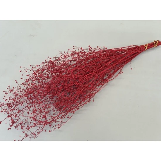 GYPSOPHILA WILD ROOD BOPP/kraft