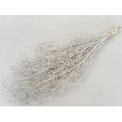 GYPSOPHILA WILD WHITE BOPP/kraft Small packaging