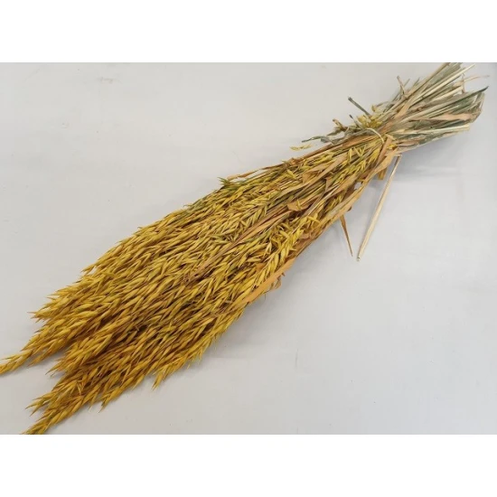 AVOINE JAUNE BOPP/kraft