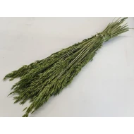 AVOINE VERT BOPP/kraft emballage hobby