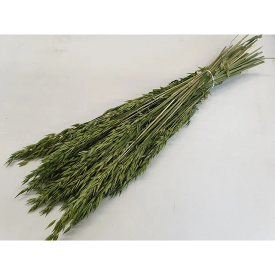 AVOINE VERT BOPP/kraft