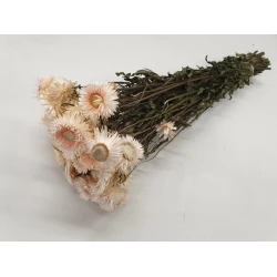 HELICHRYSUM WHITE BOPP/kraft Small packaging