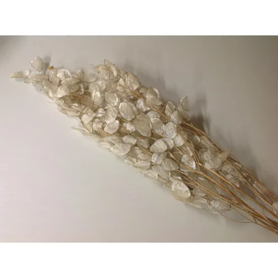 HONESTY PEALED NATURAL +/-40GR BOPP/kraft