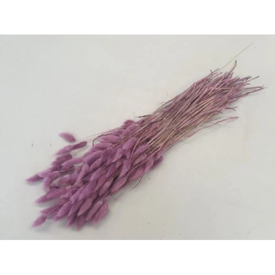 LAGURUS OVATUS FRAMBOISE +/-100GR BOPP/kraft