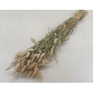 LAGURUS OVATUS NATUREL +/-50GR BOPP/kraft hobbyverpakking