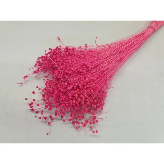 LINUM (FLAX) FUCHSIA +/-100GR BOPP/kraft