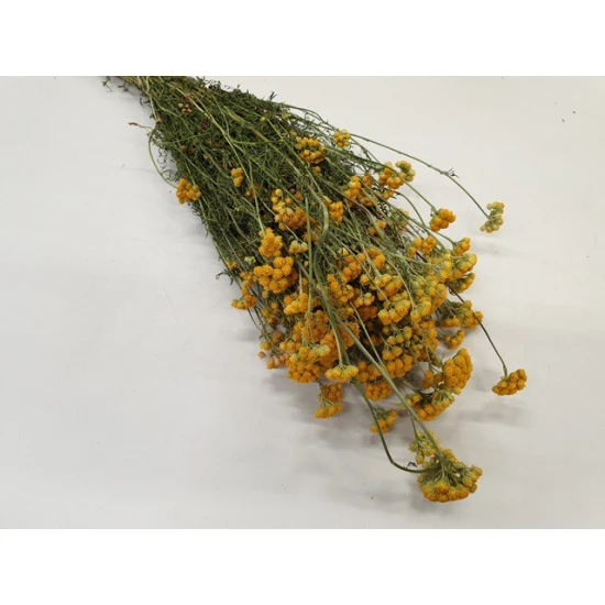 LONA NATURAL BOPP/kraft