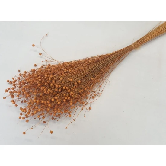 LINUM (FLAX) ORANGE (APRICOT) +/-100GR BOPP/kraft