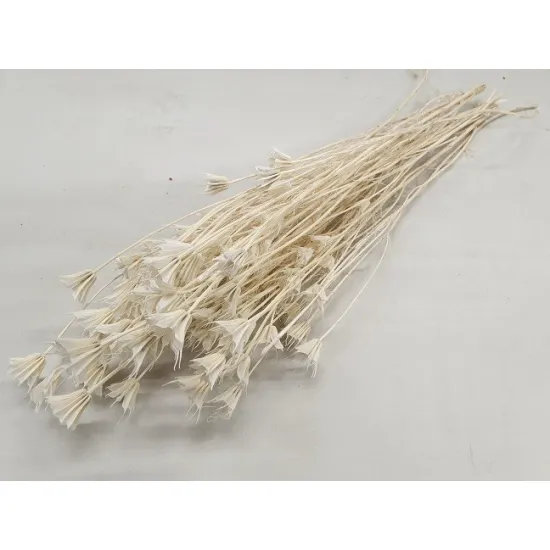 NIGELLA ORIENTALIS BLEACHED +/-100GR BOPP/kraft