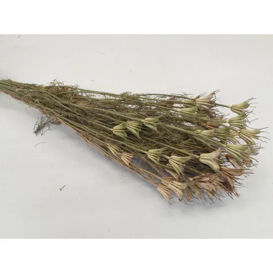 NIGELLA ORIENTALIS NATURAL BOPP/kraft