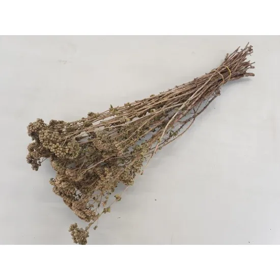 ORIGANUM NATURAL BOPP/kraft