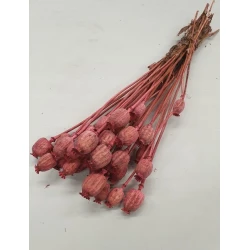 PAVOT ROSE FONCE BOPP/kraft emballage hobby