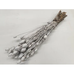 PAVOT WHITE WASH BOPP/kraft emballage hobby