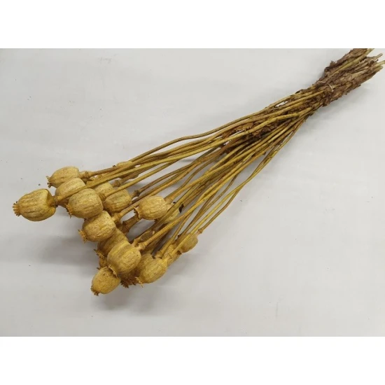 PAVOT JAUNE BOPP/kraft