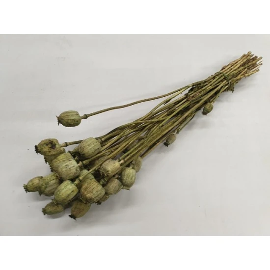 PAVOT VERT BOPP/kraft