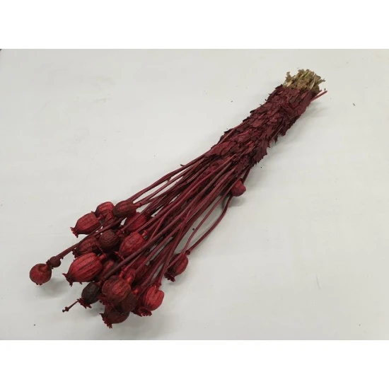 POPPY RED BOPP/kraft