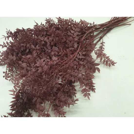 RUSCUS FRAMBOOS +/-200GR BOPP/kraft