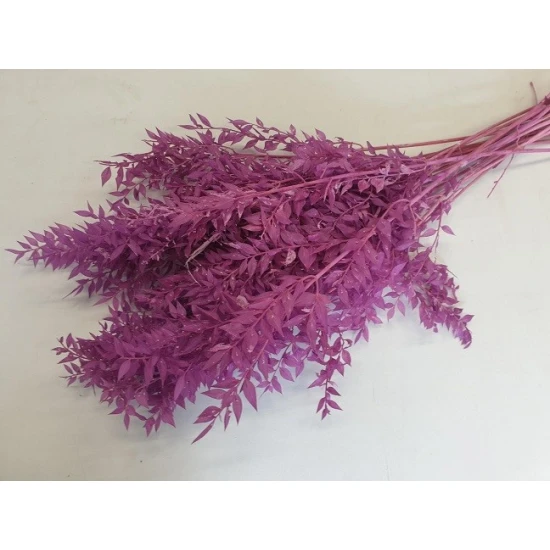 RUSCUS FREESIA +/-200GR BOPP/kraft