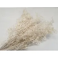 RUSCUS GEBLEEKT +/-200GR BOPP/kraft hobbyverpakking