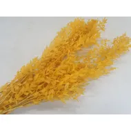 RUSCUS GEEL +/-200GR BOPP/kraft hobbyverpakking