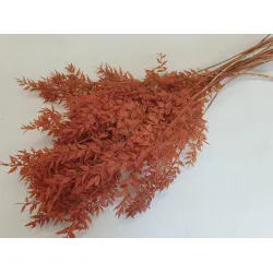 RUSCUS MARRON +/-200GR BOPP/kraft emballage hobby