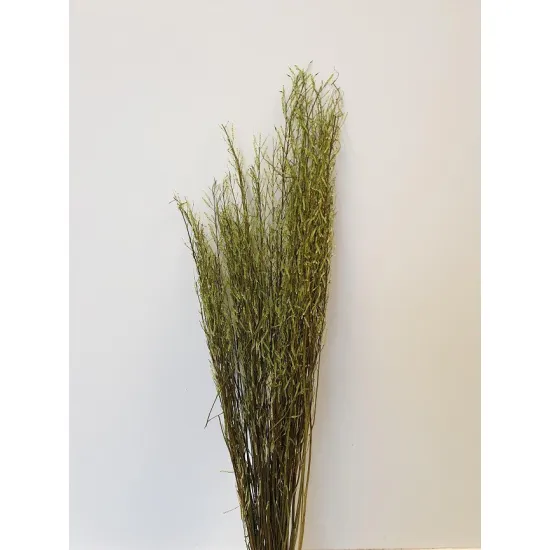 SARASH BUNCH VERT CLAIR +/-110CM +/-100GR BOPP/kraft