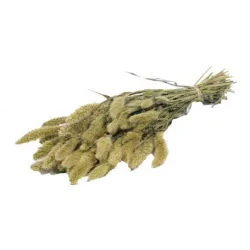 SETARIA NATURAL BOPP/kraft Small packaging