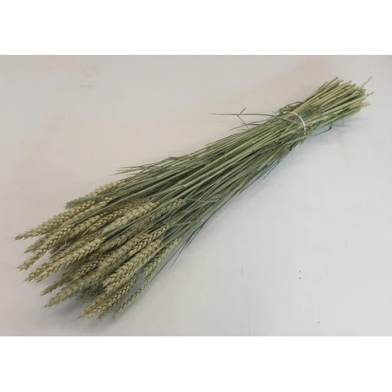 TARWE NATUREL BOPP/kraft