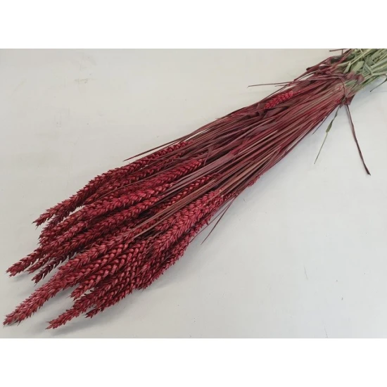 BLE (TRITICUM) ROUGE BOPP/kraft